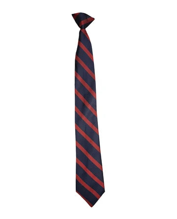 Professional Clip-on Tie